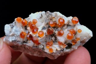 20g Natural Fanta Spessartine Garnets Mica Smoky Quartz Crystal Specimen Fujian