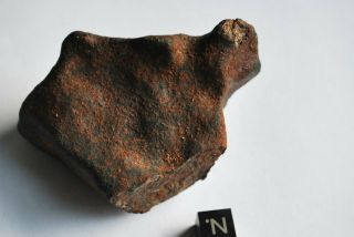 Meteorite Dhofar Xxx Complete Specimen 204 Grams