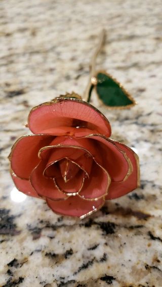 Steven Singer Jewelers 24 Karat Gold Preserved Sweetheart Pink Rose