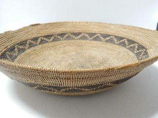 Antique / Vintage Serrano Mission Indian Basket Rattlesnake San Bernardino Ca