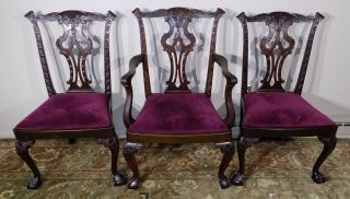 3 Mahogany Ball & Claw Carved Dining Chairs Baker School Chippendale Style