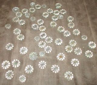 56 Glass Flower Sconces For Chandelier Lamp /lighting Parts 46 3/4 " 10 1/2 "
