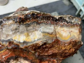 Crazy Lace Agate Rough 5lbs Slab Cab Jasper Banded Mexico Old Stock Red Yellow