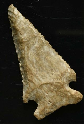Tennessee Dover Beveled Lost Lake Indian Artifact Arrowhead