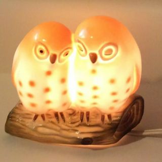 Vintage Import Small 2 Owl Night Light By I W Rice