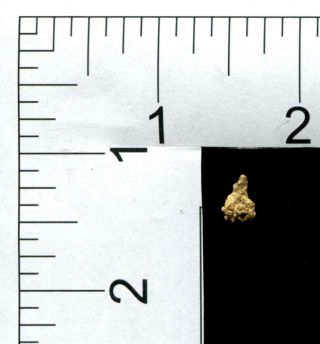 1 Gold Nugget | 1.  16 grams | | 1.  16 grams | From Alaska (RC17709) 2