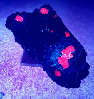 Stunning - Fluorescent Fluorite Crystal,  Ojuela Mine Mexico