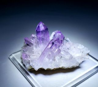 - Purple Amethyst Var.  Quartz Crystals Cluster On Matrix,  Mine Mexico