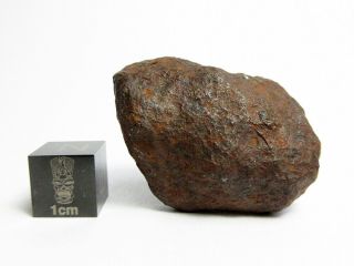 Mundrabilla Iron Meteorite 48.  10g Stunning Siderite Showpiece