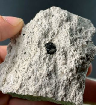 Black Bixbyite Crystals On Matrix: Thomas Range,  Juab Co. ,  Utah,  Usa