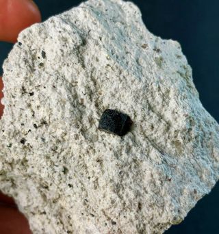 Black Bixbyite Crystals on Matrix: Thomas Range,  Juab Co. ,  Utah,  USA 3