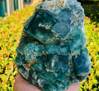 3lb Discovery Of Natural Transparent Green Fluorite Fdl65