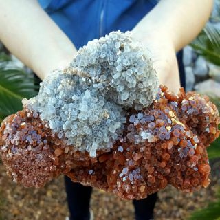 Very Fine World Class 5 3/4 Inch Bi Color Aragonite Crystal Cluster