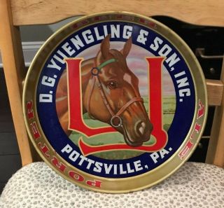 Vintage Yuengling Beer - Brewing 12 " Metal Tray Pottsville Pa Horse Head