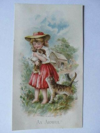 Vintage Antique Advertising Trade Card,  Girl With Cat,  Kittens,  Shawmut Soap