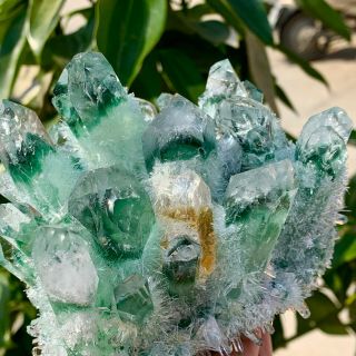 2.  19LB Find Green Phantom Quartz Crystal Cluster Mineral Specimen Healing 3
