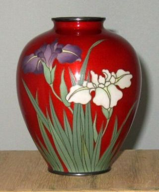 Fine Vintage Japanese Cloisonne Enamel Vase W/ Iris - Unique Coloring -