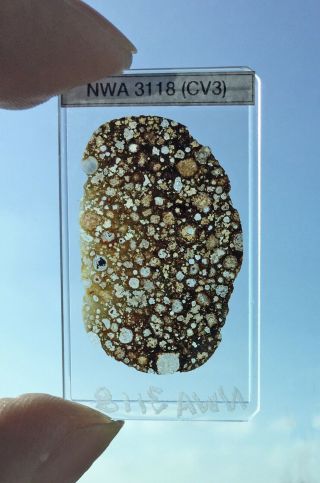 Meteorite Thin Section - Nwa 3118 - Cv3 - Carbonaceous Chondrite