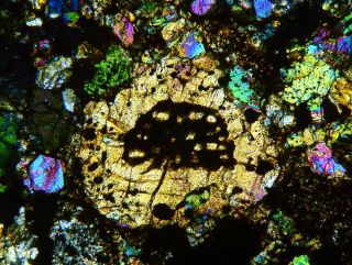 Meteorite Clarendon (c) - Big L4 Chondrite Texas Find 2015 Thin Section