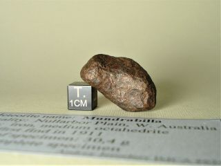 Meteorite Iron Mundrabilla Complete Specimen 30,  4 G