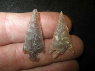 2 Central Texas Indian Bird Point Arrowheads,  Wilson County Indian Artifacts