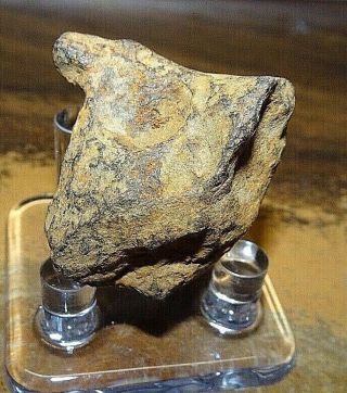 44 Gm.  Sikhote Alin Iron Meteorite ;patina; Russia With Stand; Museum Grade