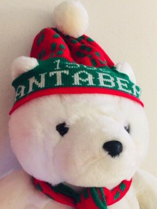 Vintage Dayton Hudson Santa Bear 1986 Christmas Stuffed Animal Teddy Bear 20 