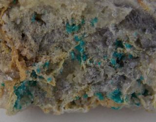 Caledonite Crystals And Leadhillite - 2.  9 Cm - Tiger,  Arizona 22486