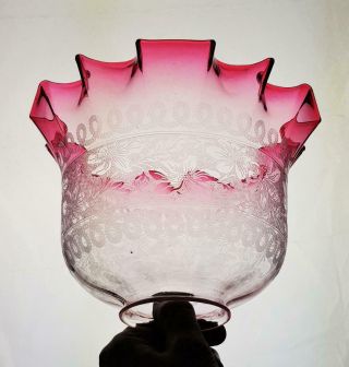 Victorian Cranberry Etched Engraved Glass Kerosene Paraffin Oil Gas Lamp Shade