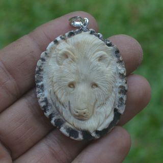 Bear Head Carving 45x37mm Pendant P4420 With Silver In Antler Burr