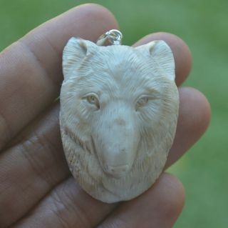 Wolf Head Carving 43x31mm Pendant P3649 W/ Silver In Antler Carved
