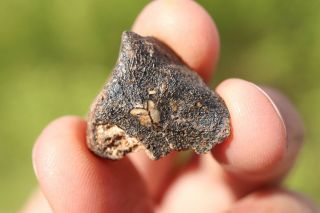 Camel Donga Meteorite Individual 4.  3 Grams
