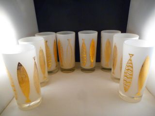 8 Vintage Glass Tumblers By Fred Press W/ Gold Fish Design On White Background