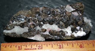 Calcite Fluorescent Mineral W/ Andradite Garnet Crystals,  Franklin Nj