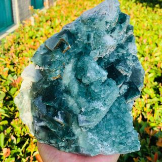 5.  1lb Discovery Of Natural Transparent Green Fluorite Fdl64