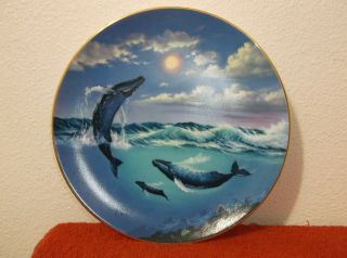 Vintage " Song Of The Humpback " Plate From Bradford.  By Artist Anthony Casey.  1991 