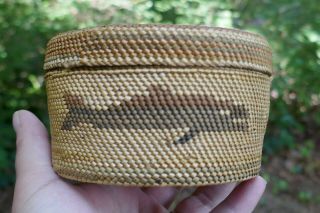Vintage Nootka Native Tribal Fine Woven Cabinet Basket - Whale & Bird Design