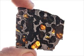 Sericho Meteorite Pallasite From Kenya Part Slice 12.  6 Grams