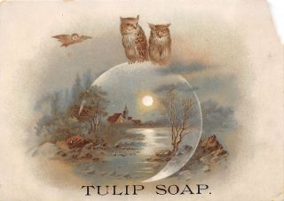 Tulip Soap Victorian Trade Card Owls Moon