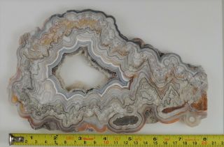 ROL Crazy Lace Agate,  Chihuahua,  Mexico,  Polished Slab,  Full Fortification 2