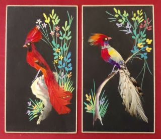 Real Feather Folk Art Birds Hand Painted Vintage Mexico Souvenir