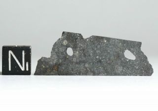 Meteorite Nwa 11436 Fresh Rumuruti R3 - 6 (s3/w - Low) Endcut 3,  539 Grams