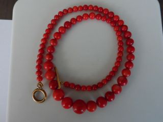 Antique Vintage Natural Carved Red Coral Round Beads Necklace 20 "