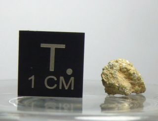 Martian Meteorite Nwa 12241 Shergottite 0.  33 G Fragment