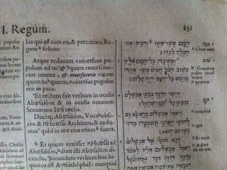1599 Polyglot Bible Hebrew Greek Latin 2