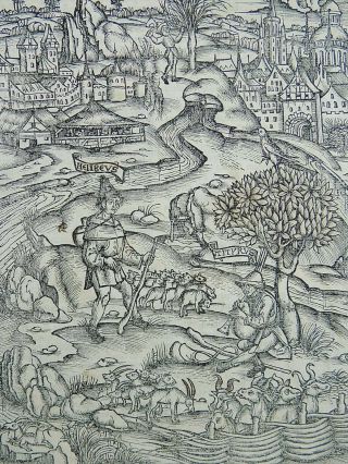 1502 Grüninger Master INCUNABULA WOODCUT Virgil: Sweeping Arcadian Landscape 3