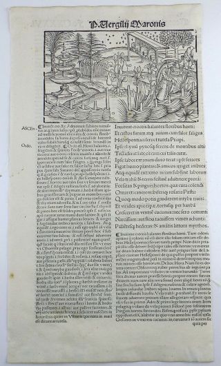 1502 Grüninger Master INCUNABULA WOODCUT Georgics - Beehives Medieval Garden 2