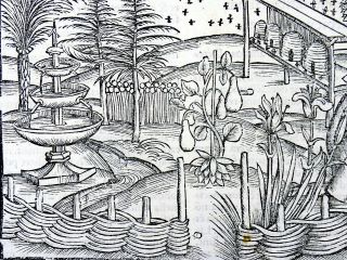 1502 Grüninger Master INCUNABULA WOODCUT Georgics - Beehives Medieval Garden 3