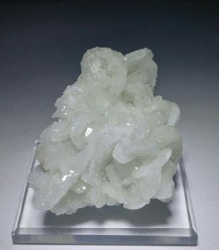 Rare - Ice Like Clear Quartz Ps Calcite On Quartz Crystals,  Mine Mexico
