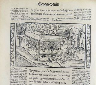 1502 Grüninger Master Incunabula Woodcut - Bee Hives Agriculture